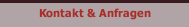 Kontakt & Anfragen